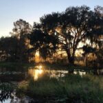 1 Hour Florida Everglades Wildlife Tour - What’s Included and What’s Not