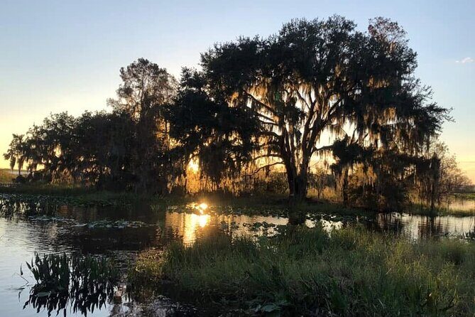 1 Hour Florida Everglades Wildlife Tour - What’s Included and What’s Not