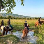 1-Hour Horse Riding Tour at Palomino Ranch Near Tbilisi - The Post-Ride Experience: Relaxation and Local Flavors