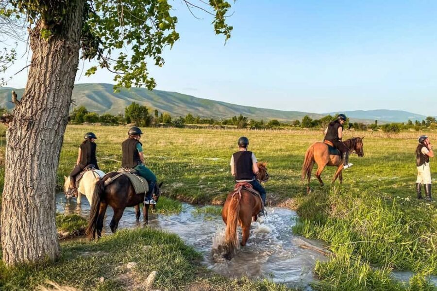 1-Hour Horse Riding Tour at Palomino Ranch Near Tbilisi - The Post-Ride Experience: Relaxation and Local Flavors