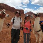 1-Hour Llama Hike Family Friendly and Fun - Why This Tour Offers Good Value
