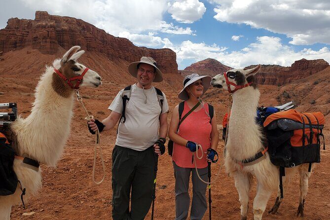 1-Hour Llama Hike Family Friendly and Fun - Why This Tour Offers Good Value