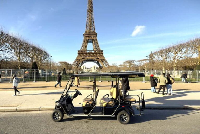 1 Hour Paris Landmarks Tour with Professional Guide - What Sets This Tour Apart