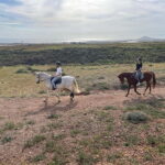 1 hour relaxing horse riding tour in Gran Canaria - The Value of This Tour