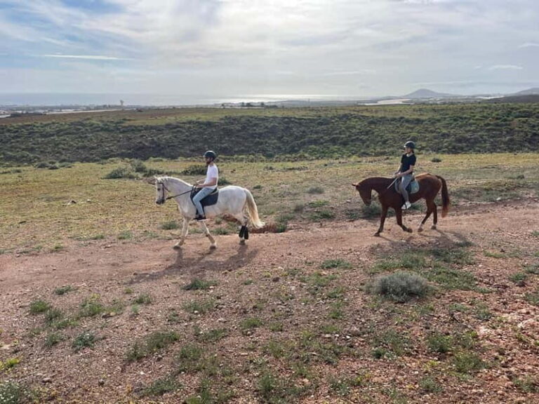 1 hour relaxing horse riding tour in Gran Canaria - The Value of This Tour