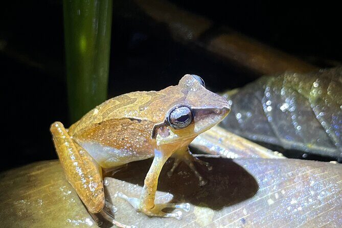 10 Days Birding Photo tour from Andes to Amazon of Ecuador - Value and Pricing Analysis