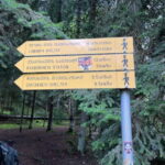 13 km hiking tour from Kutaisi to Borjomi - What Travelers Can Expect