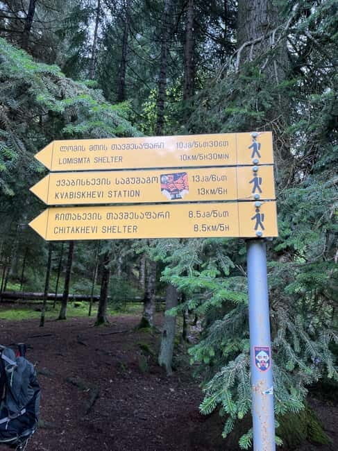 13 km hiking tour from Kutaisi to Borjomi - What Travelers Can Expect