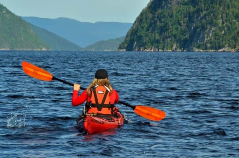 15 min Tadoussac: Guided Sea Kayaking Adventure - Exploring the Experience: What to Expect from This Sea Kayaking Tour
