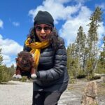 2 Day Yellowstone Safari Upper and Lower Loop Bozeman - FAQs