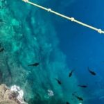 2 Days Private Tour in Aguas Rosas and Cenotes - Diving into the Itinerary: What to Expect