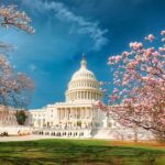 2 Days Slow-Paced & Seniors Washington DC Tour from New York - What Past Travelers Say