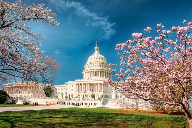 2 Days Slow-Paced & Seniors Washington DC Tour from New York - What Past Travelers Say