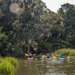 2 Hour Guided Kayak Tour at Palmetto Bluff - An In-Depth Look at the Palmetto Bluff Kayak Tour