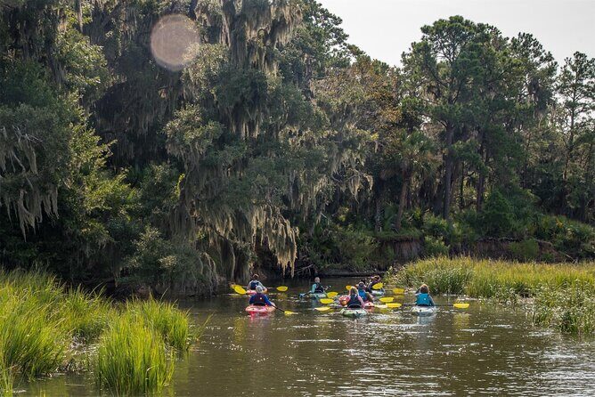 2 Hour Guided Kayak Tour at Palmetto Bluff - An In-Depth Look at the Palmetto Bluff Kayak Tour
