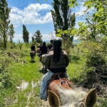 2-hour horse riding tour at Palomino Ranch Near Tbilisi - Why This Tour Offers Great Value