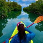 2 Hour Key West Kayak Rental  Discover Mangroves & Wildlife! - Why This Experience Offers Great Value