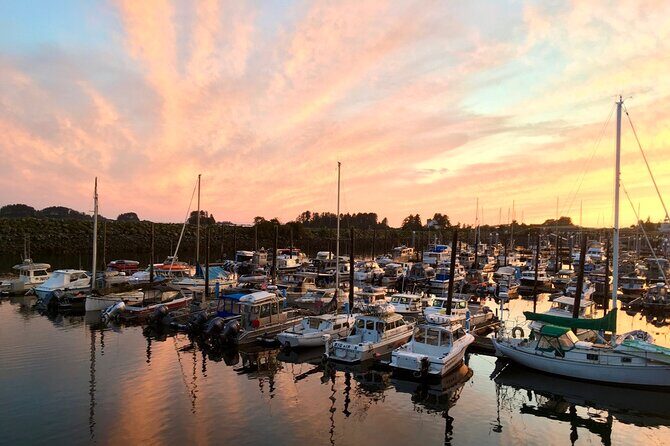 2 Hour Sitka Private Charter Sunset Cruise - Authentic Feedback and Unique Insights