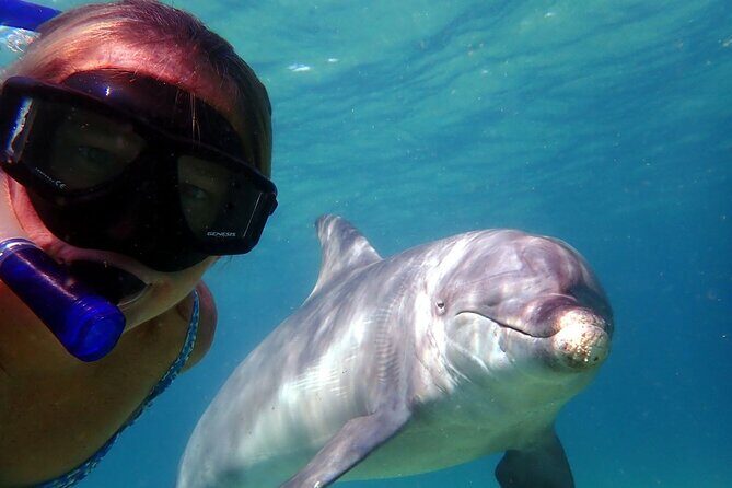 2 Hour Snorkeling and Dolphin Tour - Snorkeling and Wildlife Encounters