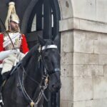 2 Hour Walking Tour from Buckingham Palace to Big Ben - An In-Depth Look at the Tour Experience