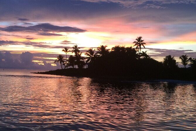 2 Hour Wildlife Adventure - Why Choose the 2 Hour Wildlife Adventure?