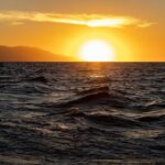 2 Hours Catamaran Sunset Tour - Why This Tour Offers Good Value