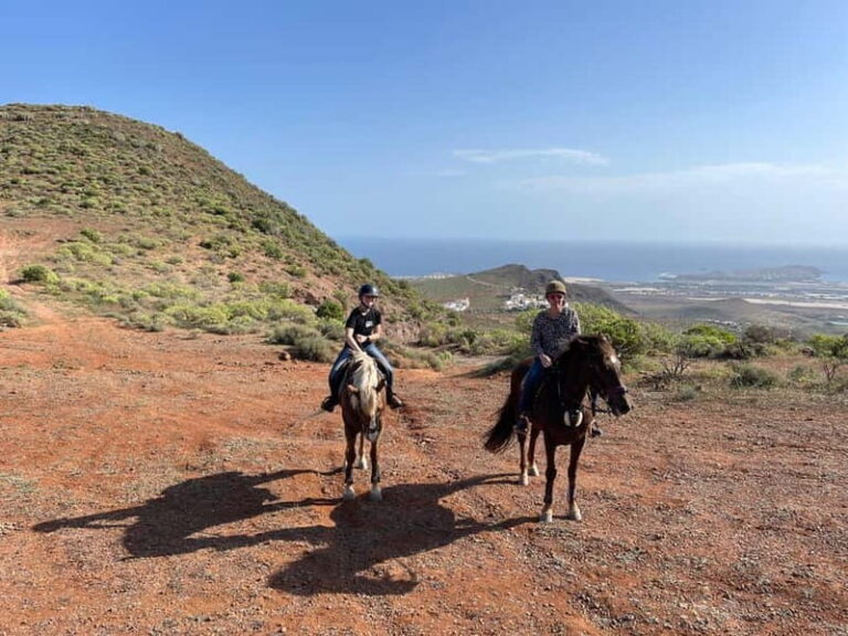 2 hours Green Mountains Horse Riding Tour - The Scenic Highlights and Trail Variations