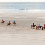 2 hours Horse Riding Excursion near the Beach in Alcúdia bay - Who Will Love This Tour