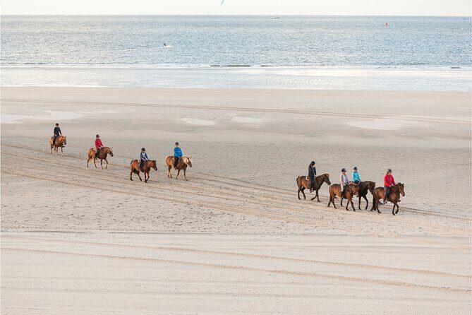 2 hours Horse Riding Excursion near the Beach in Alcúdia bay - Who Will Love This Tour