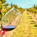 2 to 5 Guests Fredericksburg Private Mercedes SUV Wine Tour - Who Is This Tour Best For?