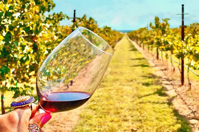 2 to 5 Guests Fredericksburg Private Mercedes SUV Wine Tour - Who Is This Tour Best For?