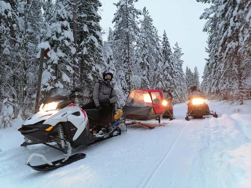 2h private snowmobile experience in Rovaniemi's forest - What to Expect from the Snowmobile Tour