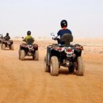 2Hours DE Quad + Comedy EN Tour and Crocoparc Tour - Pricing and Value