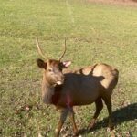 3.5-4 HR. Guided Safari Jeep Eco Waterfall Adventure - The Itinerary: What to Expect