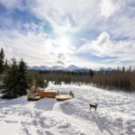 3-day Yukon Northern Lights Adventure - What Travelers Say (Based on Reviews)
