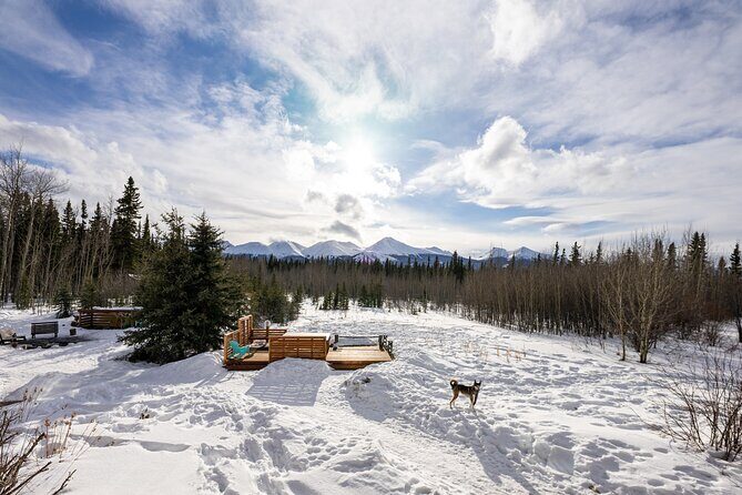 3-day Yukon Northern Lights Adventure - What Travelers Say (Based on Reviews)