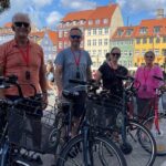3 hour Copenhagen Combined Food and Guided E-Bike Tour - What Does This Tour Mean for You?