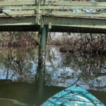 3 hour E.G. Simmons Park Mangrove Tunnel Tour - Who Should Consider This Tour?