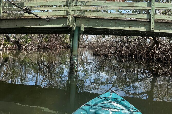 3 hour E.G. Simmons Park Mangrove Tunnel Tour - Who Should Consider This Tour?