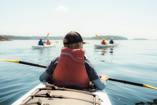 3 Hour Kayaking Tours from Friday Harbor - Who Will Love This Experience?