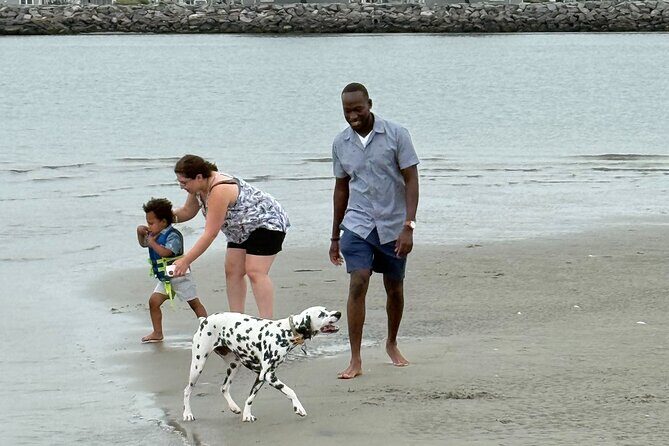 3 Hour Scenic Back Bay Tour - Who Will Love This Experience?