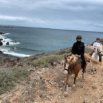 3 hours Horse Riding Tour to the Coast - Exploring the 3-Hour Horse Riding Tour to the Coast