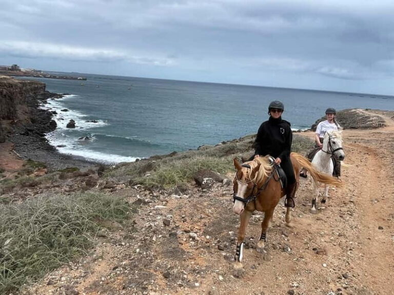 3 hours Horse Riding Tour to the Coast - Exploring the 3-Hour Horse Riding Tour to the Coast
