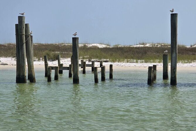 3 Hours Shell Island Experience - The Practicalities: Transportation, Timing, and Group Size  