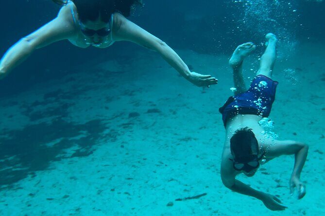 3 in 1 Experience in Tulum - Transportation, Logistics, and Value