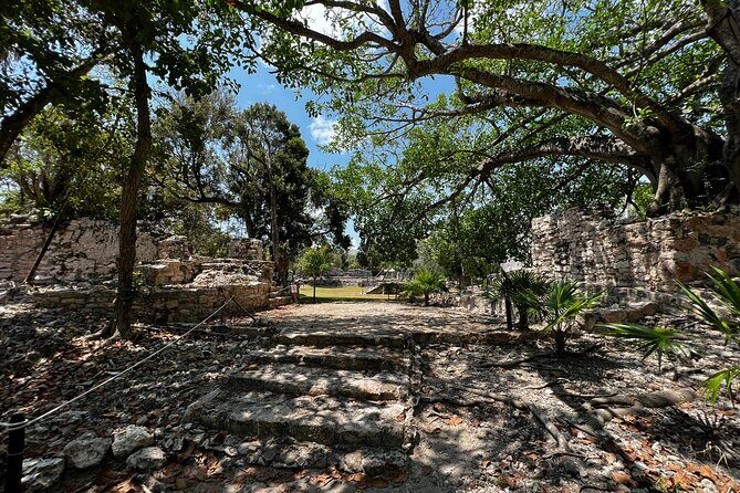 3 in 1 Snorkeling, Parasailing, with Turtle - Final Thoughts