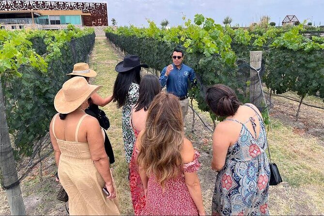 3 or 5 Course Menu + Wine Pairing + Tour @Local Winery - Is this Tour Worth It?