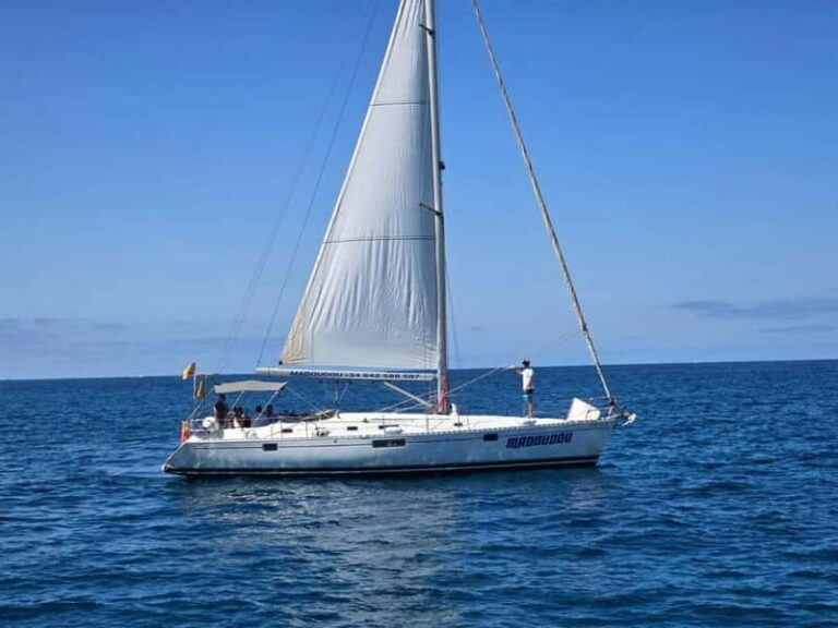 3h Whale Watching Private tour Beneteau Oceanis 440 - The Sum Up