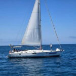 3h Whale Watching Share Tour Beneteau Oceanis 440 - Authentic Reviews & Insights