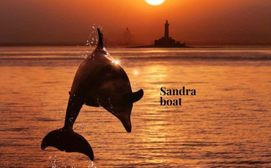 3hours Dolphin Sunset watching with unlimited drinks +dinner - Who Is This Tour Best For?